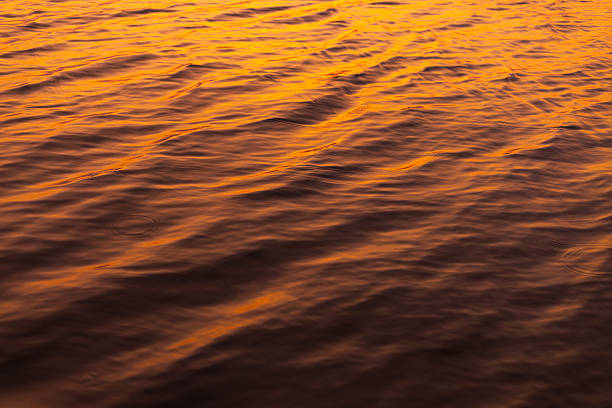 High angle view of calm water ripples illuminated by the warm golden light of a sunset, creating a beautiful abstract texture and peaceful atmosphere.