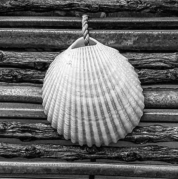 Black-and-white close-up of a scallop shell hanging by a twisted cord against textured horizontal wooden slats