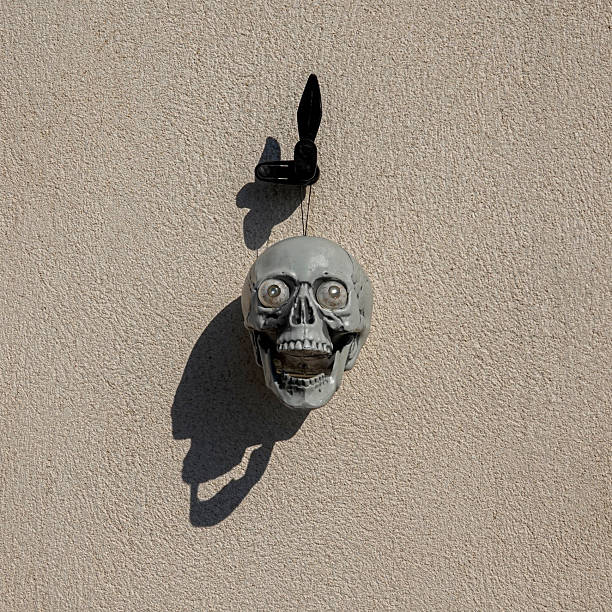 A skull decoration hangs from a wall in sunlight.