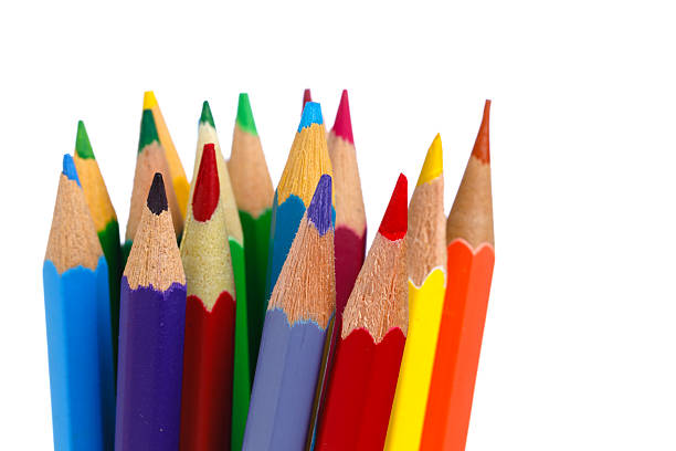 Multicolored pencils standing together. Isolated on white background. Educational content, creative arts, and back-to-school marketing. Macro shot