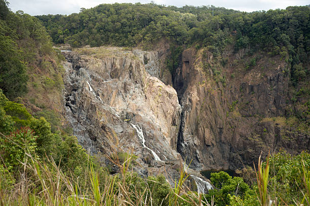 Authentic view to canyon in Queensland with the cascading Barron Falls, surrounded by dense tropical forest in Australia. It is used to showcase authentic natural attractions in tourism materials.