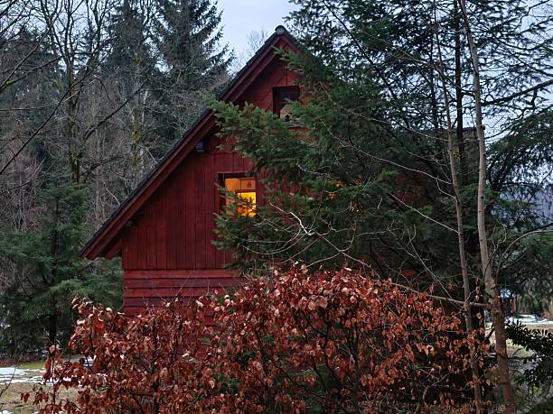 Red wooden cabin with lit window nestled in evergreen forest, warm interior glow spills onto mossy shrubs