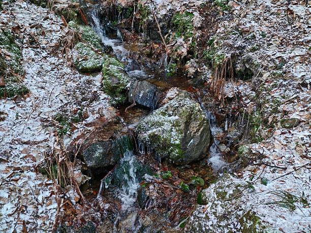 Snowdusted rocks with thin trickling stream, scattered leaf litter and damp soil on steep slope, subtle
