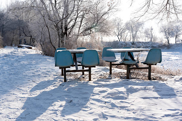 Blue park benches and tables covered in light snow under a bright winter sun with frost-covered trees behind.