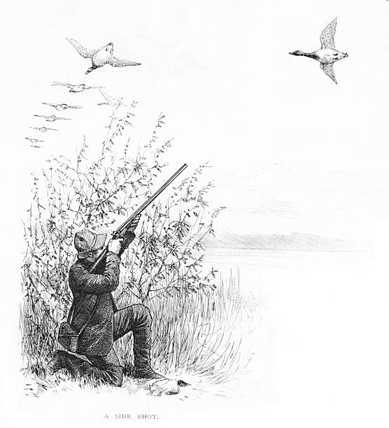 Duck hunter aims his rifle at geese flying overheard. Copy Space. Illustration published 1879. Original edition is from my own archives. Copyright has expired and is in Public Domain.