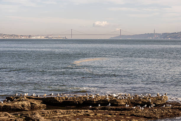 Wide view across the Tagus estuary shows a suspension bridge and distant coastline under winter afternoon sky.