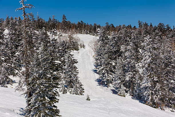 Yurduntepe Ski Center, Red Jacket Skier, ilgaz, Çankırı, Turkey.