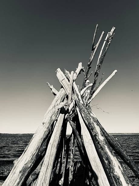 black and white timber at beach