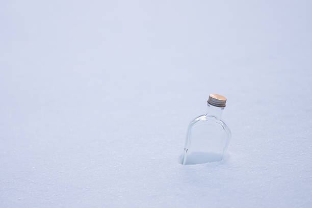 Empty bottle on the snowy field