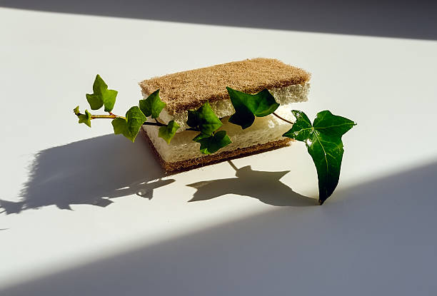 Sustainable lifestyle tools, minimalist eco friendly sponge with plant decorations and hard shadows.