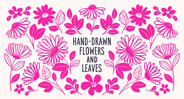 Hand drawn daisy flowers and leaves design elements. Each flower petal is a separate shape.