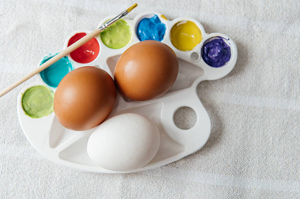 A comprehensive collection of spring-themed images capturing the essence of Easter and rural life. The series features a majestic brown rooster on green grass and near a wicker fence, festive baking still life with eggs and flour, and natural details like a weathered tree stump and bright blue sky. Perfect for holiday marketing, organic farming concepts, and traditional lifestyle content.
