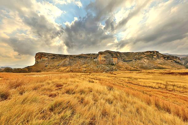 The park is a real highlight for visitors to the Free State. Popular attractions include the vast, colourful sandstone formations, which shine golden-yellow in the evening sun, and from which the area derives its name. Vegetation in the Golden Gate Nature Reserve consists mainly of wooded ravines, gullies and grasslands.