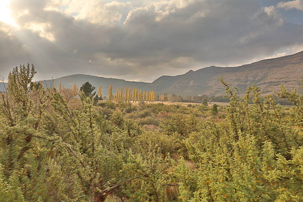 The park is a real highlight for visitors to the Free State. Popular attractions include the vast, colourful sandstone formations, which shine golden-yellow in the evening sun, and from which the area derives its name. Vegetation in the Golden Gate Nature Reserve consists mainly of wooded ravines, gullies and grasslands.