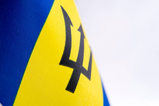 Barbados National Flag Fabric Texture Close Up