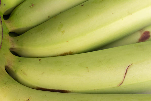 Banana fruits, delicious ripe bananas