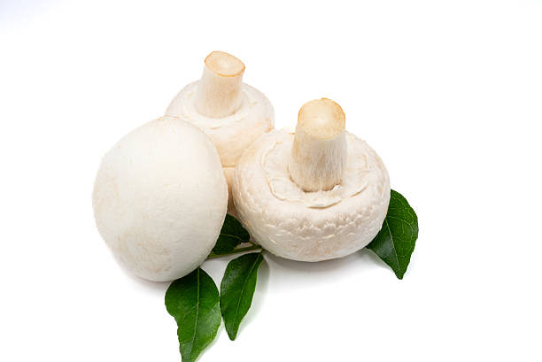Three round white champignon mushrooms with green leaves, artistically arranged on a white surface. High quality photo