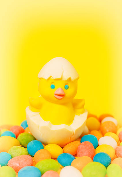 Easter decoration with a cute chick. Easter holiday concept.