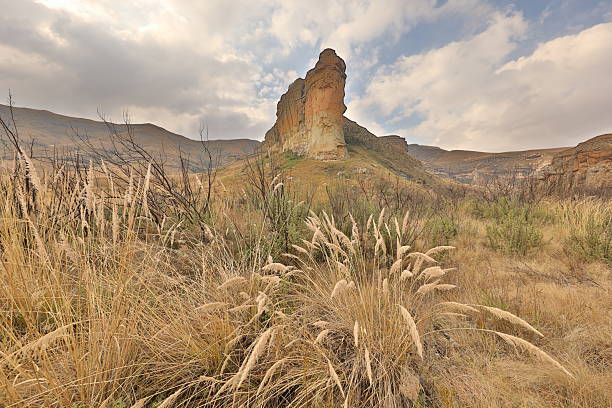 The park is a real highlight for visitors to the Free State. Popular attractions include the vast, colourful sandstone formations, which shine golden-yellow in the evening sun, and from which the area derives its name. Vegetation in the Golden Gate Nature Reserve consists mainly of wooded ravines, gullies and grasslands.