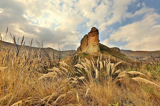 The park is a real highlight for visitors to the Free State. Popular attractions include the vast, colourful sandstone formations, which shine golden-yellow in the evening sun, and from which the area derives its name. Vegetation in the Golden Gate Nature Reserve consists mainly of wooded ravines, gullies and grasslands.