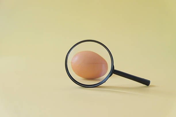 A magnifying glass above a brown egg on color background.