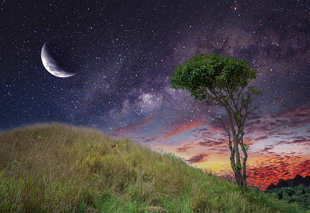 trees on a field hill on a starry night and crescent moon