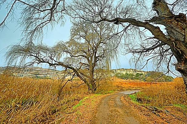 Clarens is a farming town in Free Sate