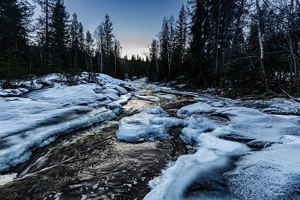 A partially frozen river flowing through a snow covered Nordic forest during a cold winter morning. Ice formations frame the dark moving water while evergreen trees rise in the background under a pale sky. A serene Scandinavian wilderness scene capturing the quiet atmosphere of winter in Norway.