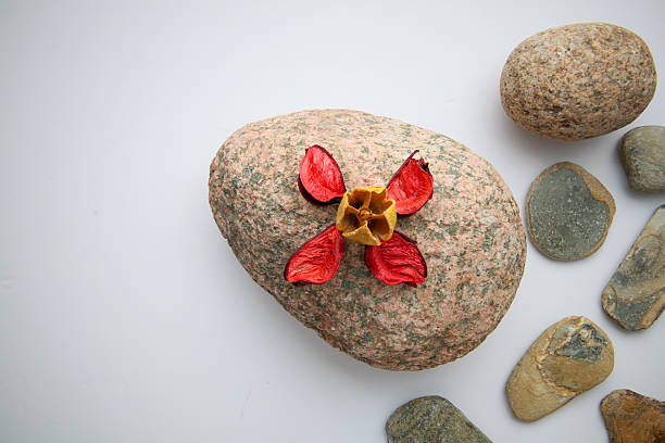 Smooth river rocks and dried botanical elements creating a calming zen spa ambiance