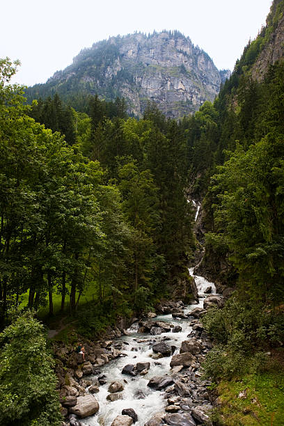 The Sefinen-Lütschine river as it joins the Lauterbrunnen Valley near Stechelberg, Bernese Oberland, Switzerland