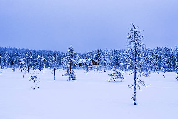 Winter landscape with forest in Akaslompolo, Finland.