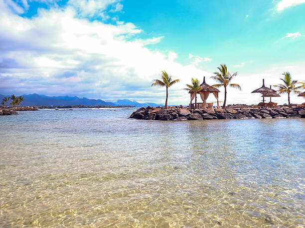 This image captures a serene tropical coastline where rugged red rocks form a natural barrier along the edge of clear turquoise ocean water. Taken with a semi submerged camera lens to show above and below the sea surface. Two palm trees lean slightly over the rocky outcrop, adding a touch of lush greenery to the scene. In the background, misty mountains rise against a partly cloudy sky, creating depth and a sense of vastness. The water's surface reflects subtle ripples, emphasizing the calm and inviting nature of the environment. Ideal for commercial use in travel magazines, environmental publications, or media content highlighting natural beauty, coastal ecosystems, or leisure destinations. Authors can use it to illustrate stories on tropical vacations, marine conservation, or scenic outdoor explorations, providing a visually appealing backdrop for articles on island life or nature photography.