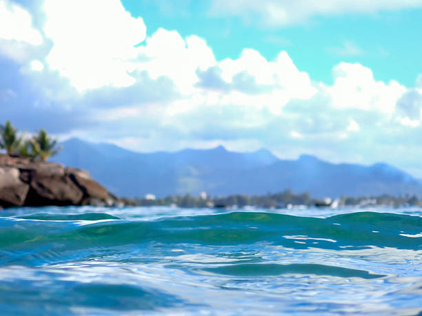 This image captures a serene tropical coastline where rugged red rocks form a natural barrier along the edge of clear turquoise ocean water. Taken with a semi submerged camera lens to show above and below the sea surface. Two palm trees lean slightly over the rocky outcrop, adding a touch of lush greenery to the scene. In the background, misty mountains rise against a partly cloudy sky, creating depth and a sense of vastness. The water's surface reflects subtle ripples, emphasizing the calm and inviting nature of the environment. Ideal for commercial use in travel magazines, environmental publications, or media content highlighting natural beauty, coastal ecosystems, or leisure destinations. Authors can use it to illustrate stories on tropical vacations, marine conservation, or scenic outdoor explorations, providing a visually appealing backdrop for articles on island life or nature photography.