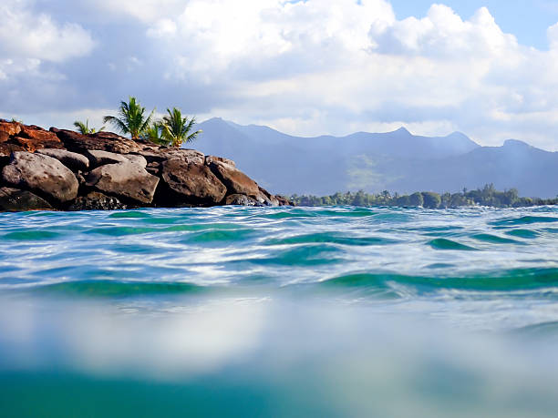 This image captures a serene tropical coastline where rugged red rocks form a natural barrier along the edge of clear turquoise ocean water. Taken with a semi submerged camera lens to show above and below the sea surface. Two palm trees lean slightly over the rocky outcrop, adding a touch of lush greenery to the scene. In the background, misty mountains rise against a partly cloudy sky, creating depth and a sense of vastness. The water's surface reflects subtle ripples, emphasizing the calm and inviting nature of the environment. Ideal for commercial use in travel magazines, environmental publications, or media content highlighting natural beauty, coastal ecosystems, or leisure destinations. Authors can use it to illustrate stories on tropical vacations, marine conservation, or scenic outdoor explorations, providing a visually appealing backdrop for articles on island life or nature photography.