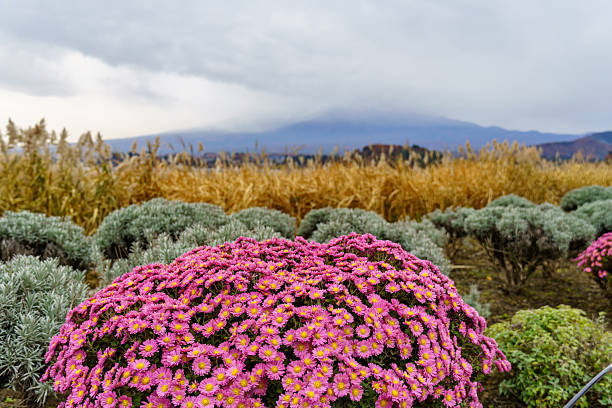 Herbst in tokio und am Mount Fuji