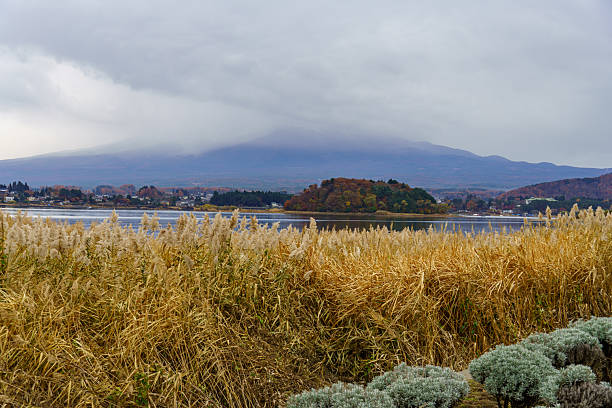 Herbst in tokio und am Mount Fuji