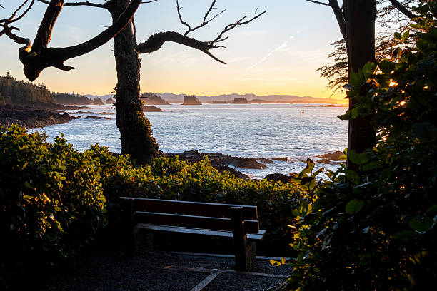 Wooden bench along Ucluelet's Wild Pacific Trail is the perfect seat to watch sunrise, sea and surf of Barkley Sound and the Broken Group of Islands, British Columbia, Canada