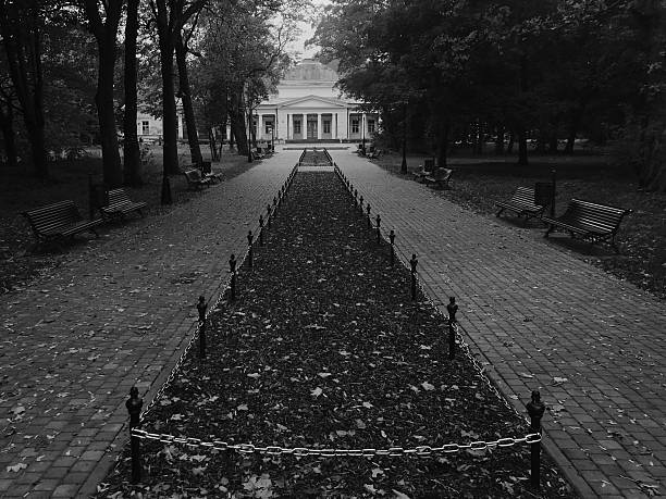 Black and white photograph of stone staircase leading toward fortress walls in Novi Sad, Serbia. Moody historic atmosphere with textured stone and trees