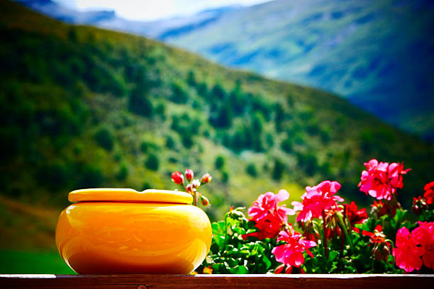 Yellow ashtray in front of pink geraniums