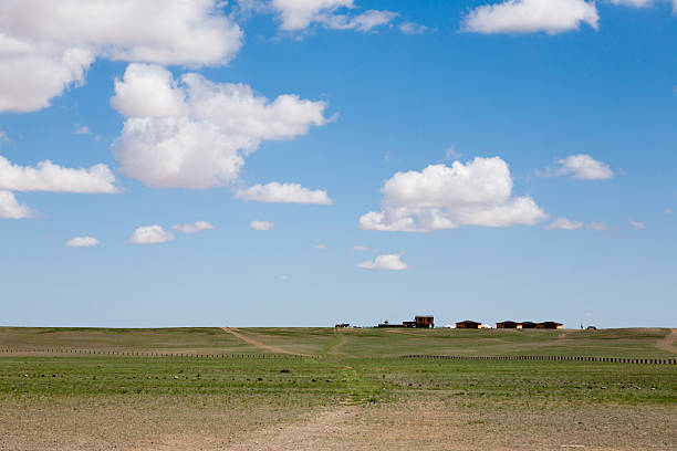 Dirt road in mongolian steppe, Gobi desert landscape, Mongolia scenery