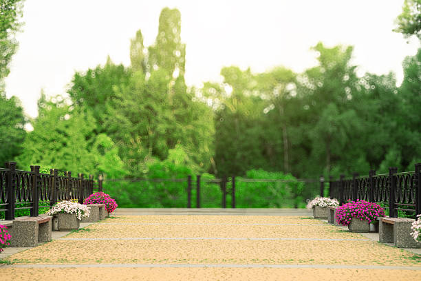 A tranquil park scene unfolds with a paved walkway, decorative benches, vibrant flower planters, and a backdrop of dense foliage creating a peaceful atmosphere