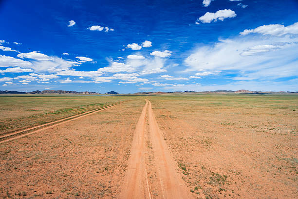 A vast, arid steppe unfolds beneath a deep blue sky scattered with white clouds. A single sandy dirt road leads from the foreground straight toward distant hills and rocky outcrops, surrounded by sparse grasses and reddish soil, evoking openness, solitude, and rugged natural beauty.
