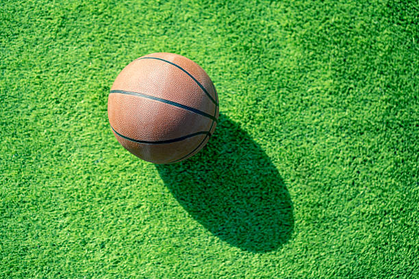 A single basketball rests on vibrant green turf under strong sunlight, casting a long shadow and highlighting the ball's textured surface — a minimalist sports image evoking play, practice, and summer.