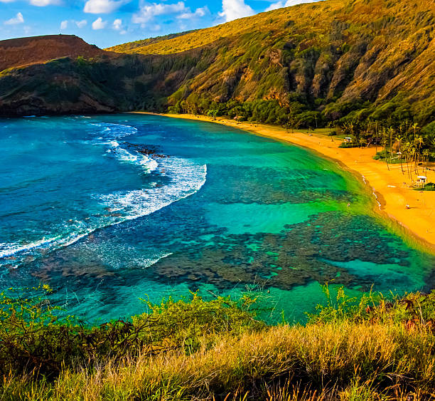 Hillside View Overlooking Hanauma Bay Nature Preserve, Oahu, Hawaii, USA