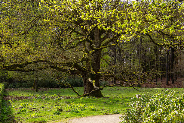 green background