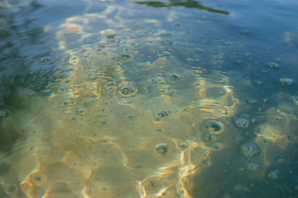 Clear tropical water with sunlight reflections and silhouettes of palm trees creating abstract patterns on sandy bottom. Minimal ocean texture, calm summer atmosphere and natural marine background.