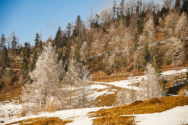 Countryside view in Bavarian Forest National Park. First ground frost