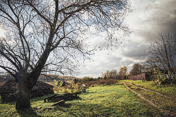 A dilapidated barn in a village in autumn, Russia