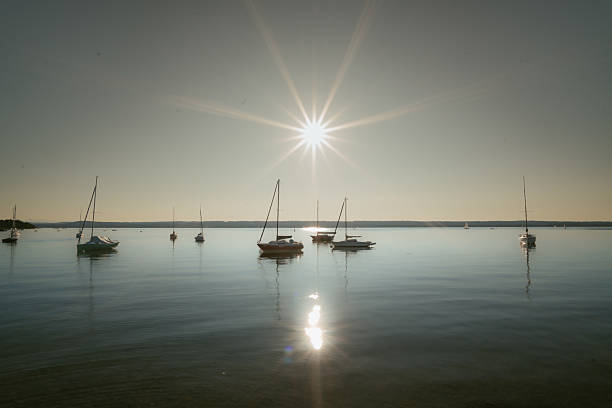 Peaceful marina scene with anchored sailboats on still water under bright sunlight and clear sky