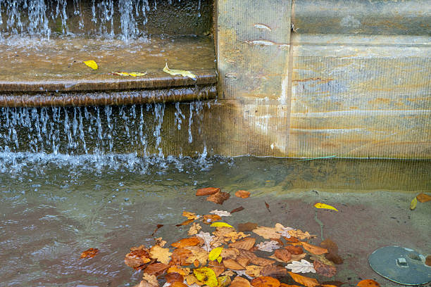 Water from hot tub
